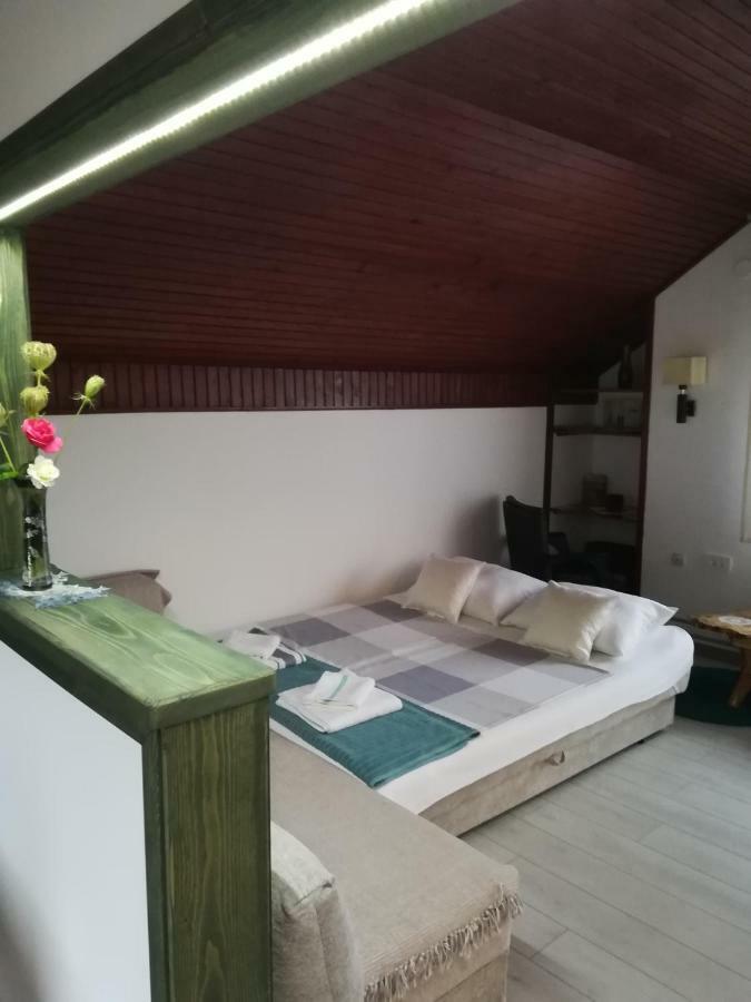 Apartment Arya Korenica Exterior foto